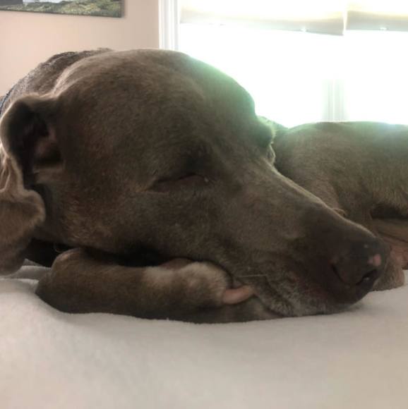 Meet your Posher, Becky - Picture 1 of 1